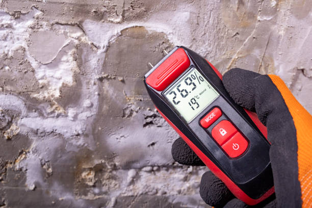 Best Residential Mold Removal  in West Chicago, IL