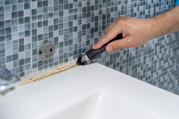 Best Mold Testing  in West Chicago, IL
