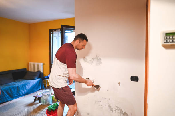 Best Mold Damage Repair  in West Chicago, IL